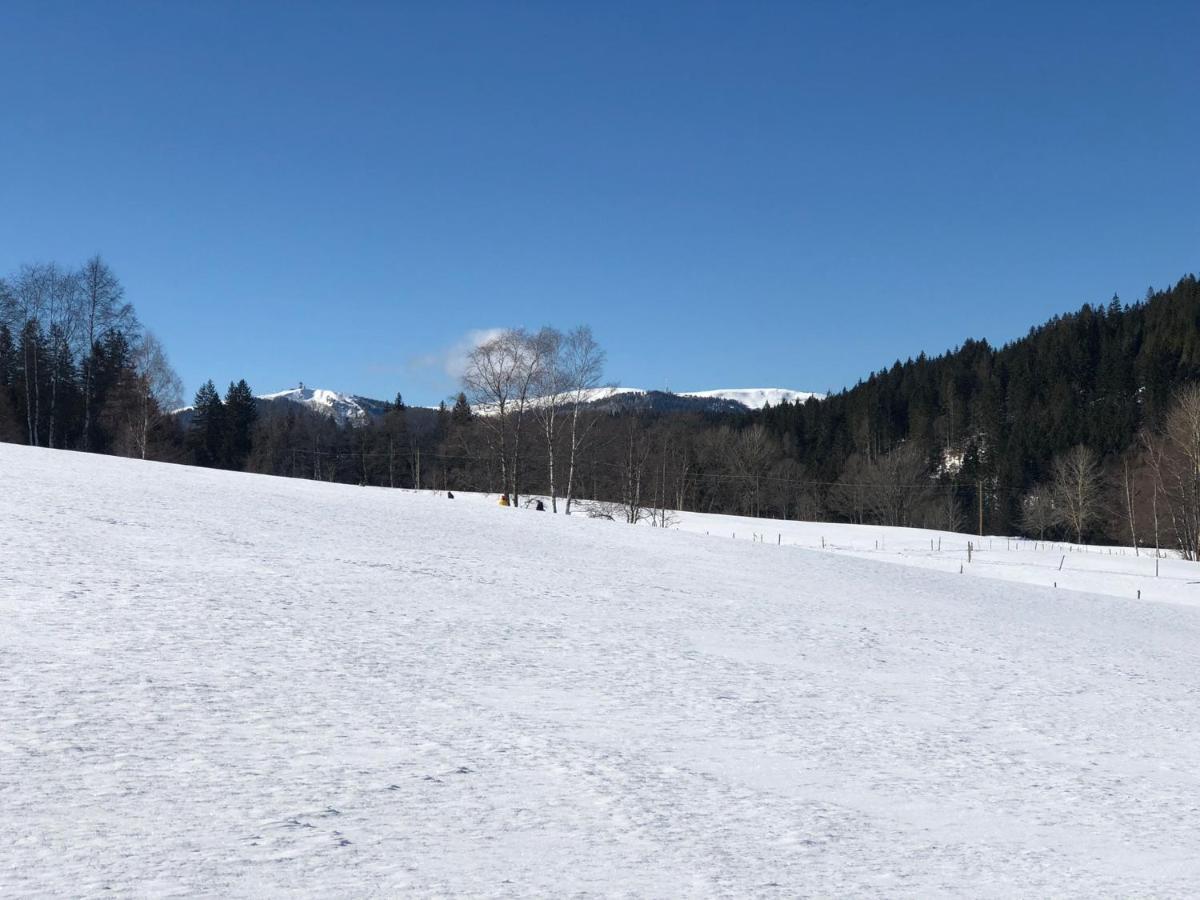 Gaestehaus Lickert Ferienwohnung Sued Feldberg Hinterzarten Εξωτερικό φωτογραφία